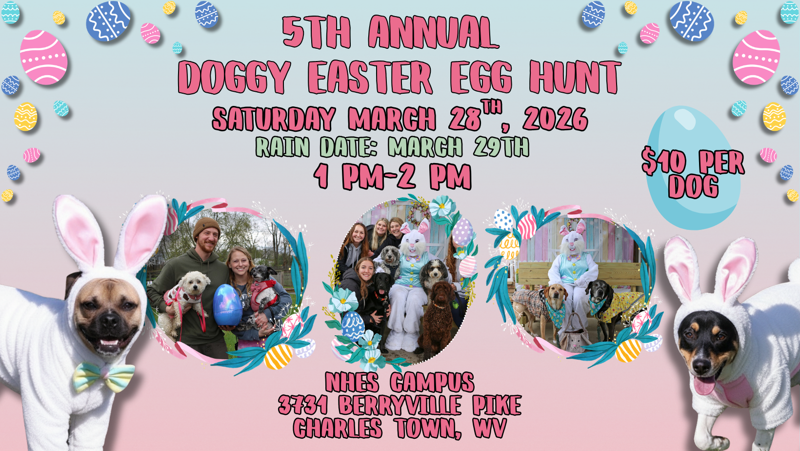 Campaign cover image for 5th Annual Doggy Easter Egg Hunt