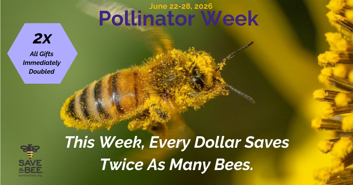 Campaign cover image for DOUBLE Your Impact During Pollinator Week 2026