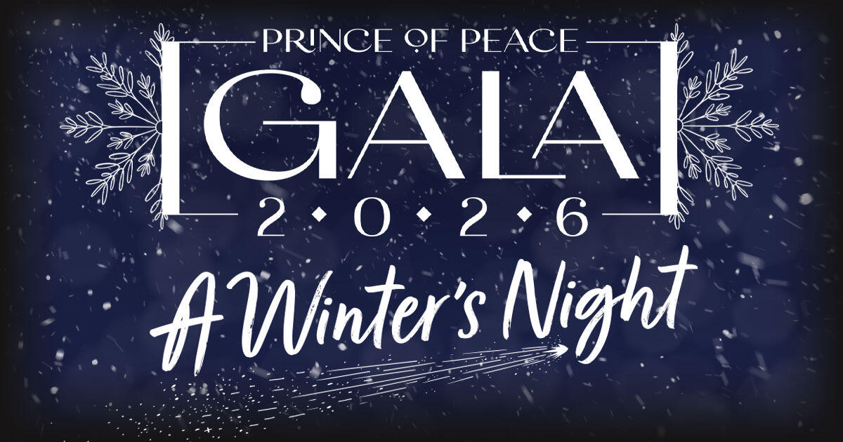Campaign cover image for 2026 A Winter's Night Gala Cardinal Jackpot Raffle
