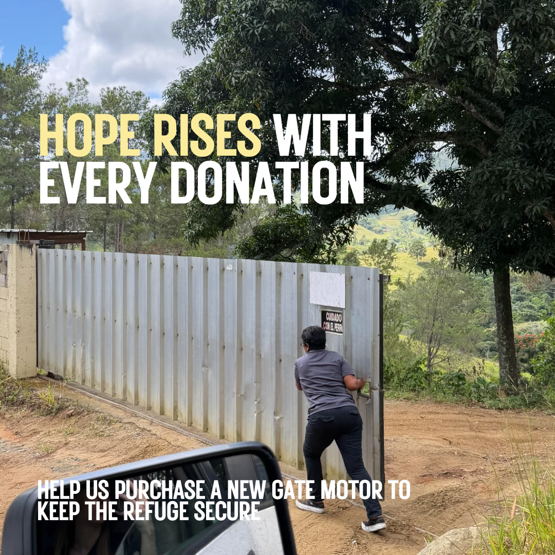 Campaign cover image for Security Gate