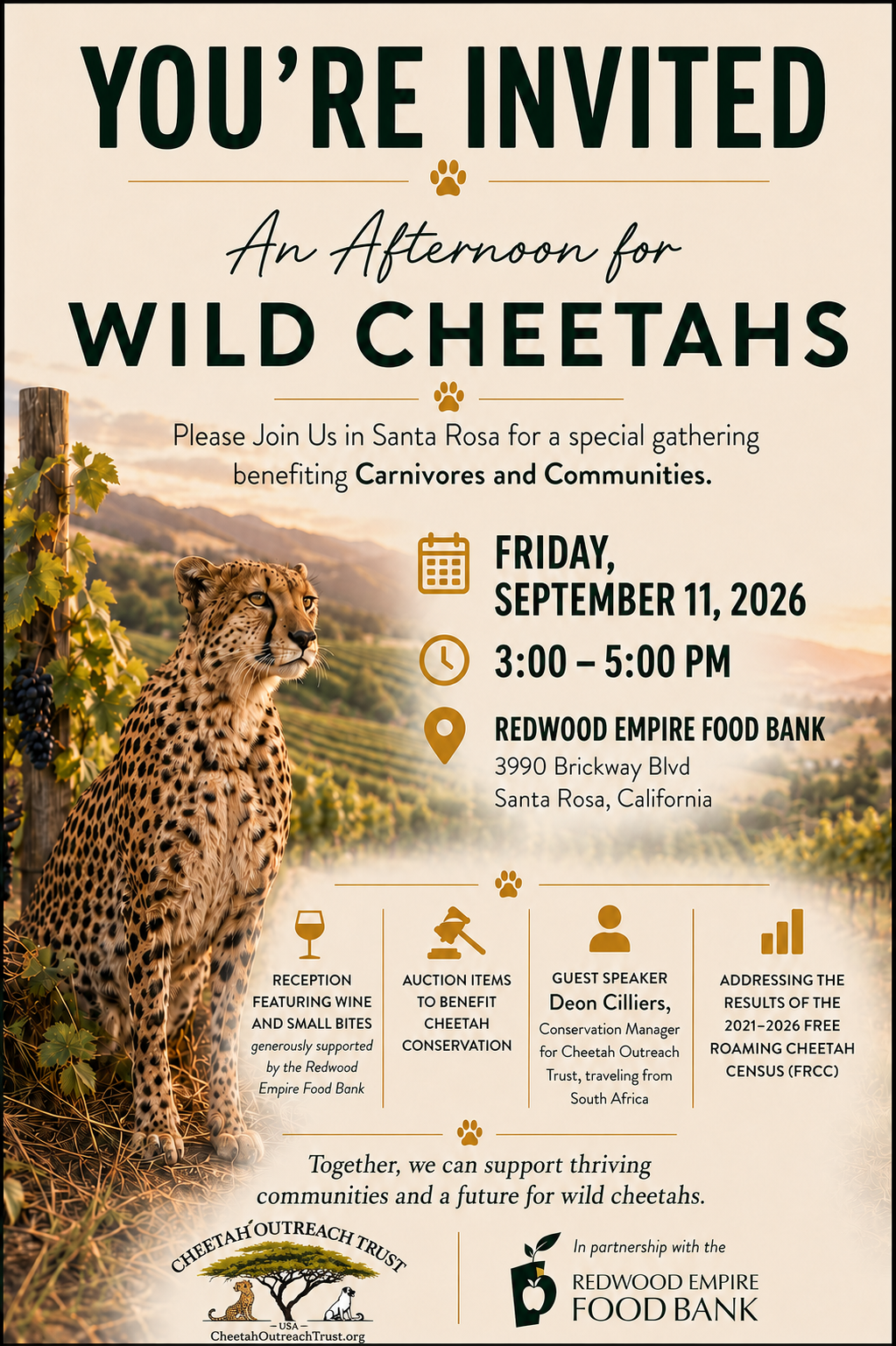 An Evening for Wild Cheetahs