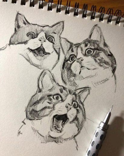 Campaign cover image for Spring Art with Jen Swan - Sketching 101