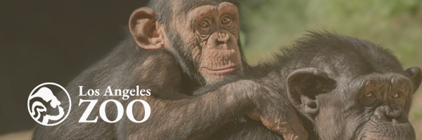 Campaign cover for Support the Los Angeles Zoo