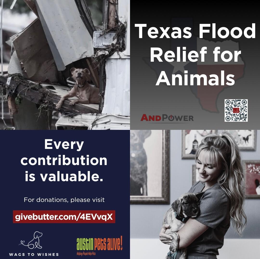 Campaign cover image for Wags to Wishes X AndPower: Texas Flood Relief for animals