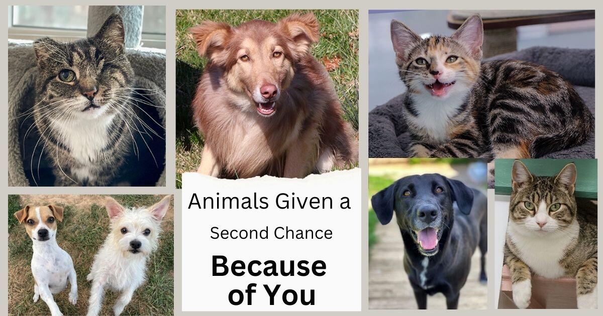 Campaign cover image for Emergency Funds Needed Urgently