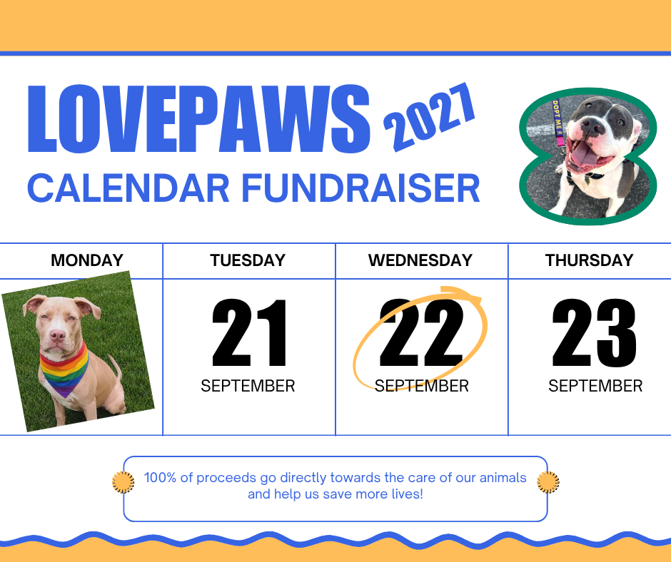 Campaign cover for LOVEPAWS 2027 Calendar