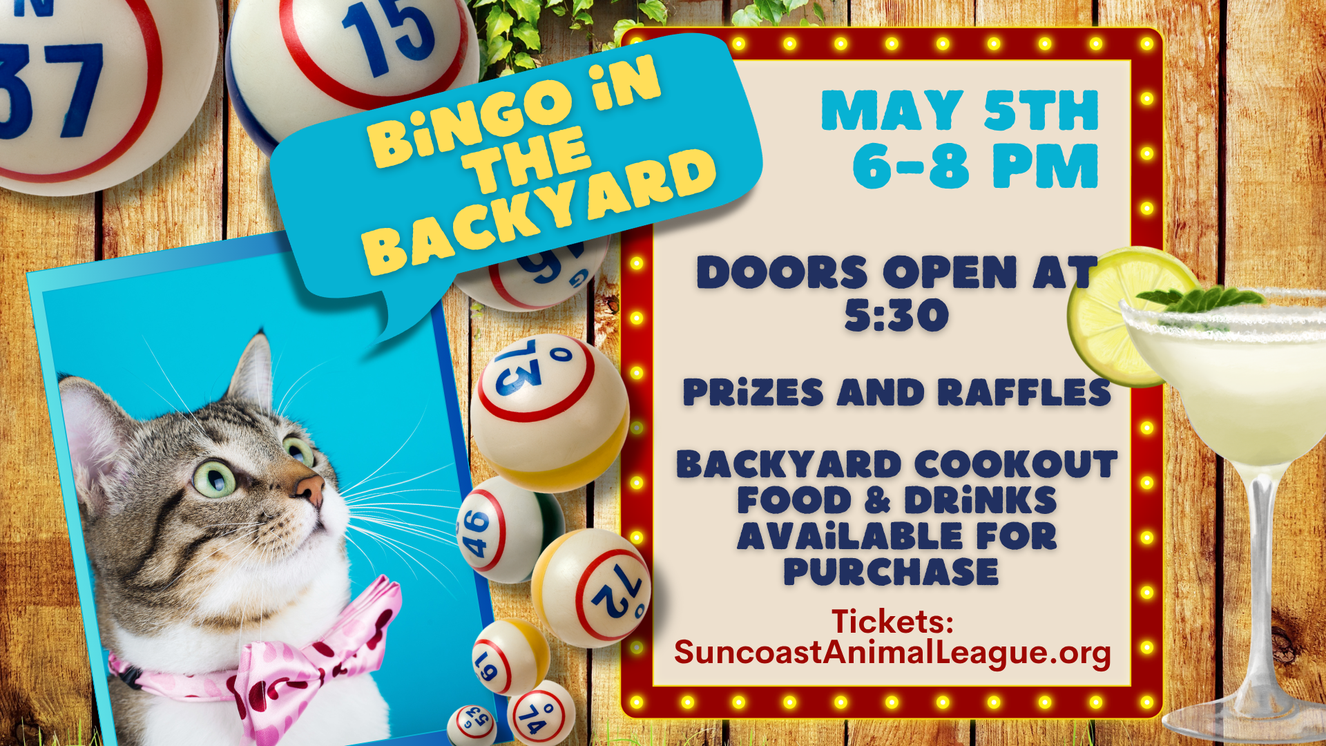 Campaign cover image for Bingo in the Backyard May 5th