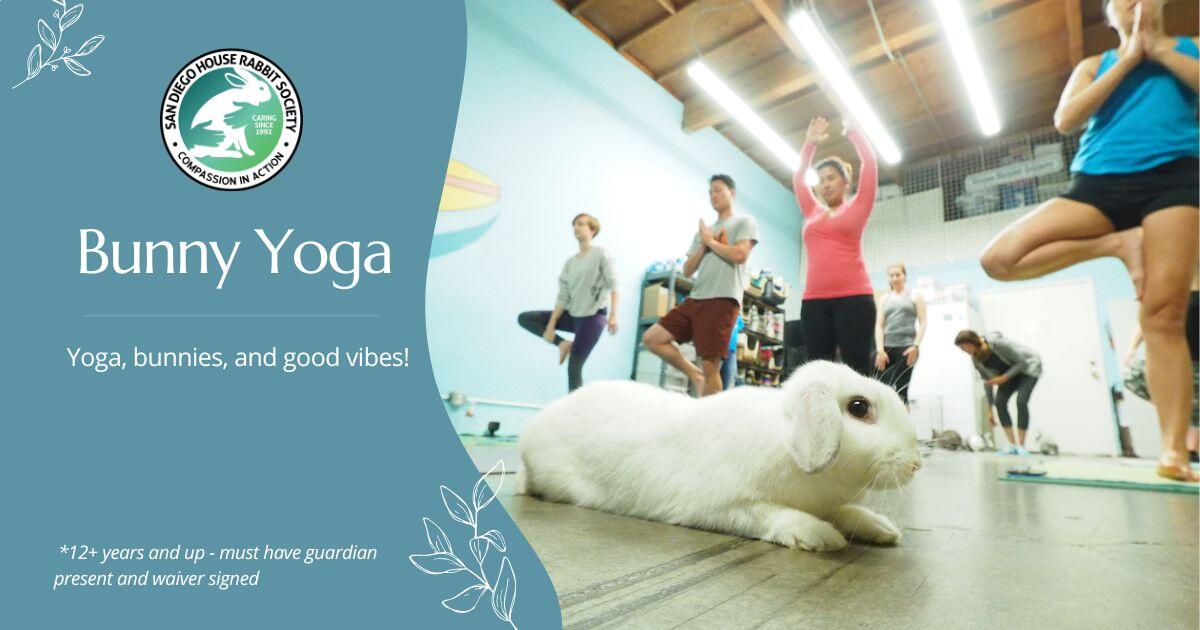 Campaign cover image for Bunny Yoga at SDHRS: August 29, 2026