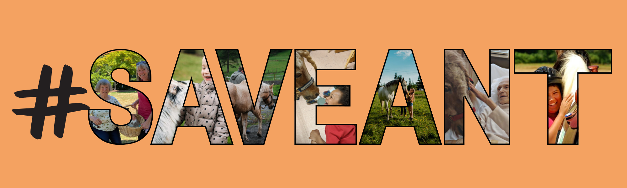 Campaign cover image for Save ANT