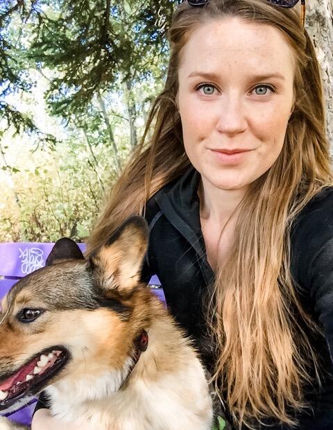 Campaign cover image for PAC's SEPT. Let's Get Real: From Dog Trainer to Dog Training Educator: What I’ve Learned Along the Way