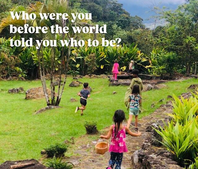 Campaign cover image for Colectiva Wild Haven