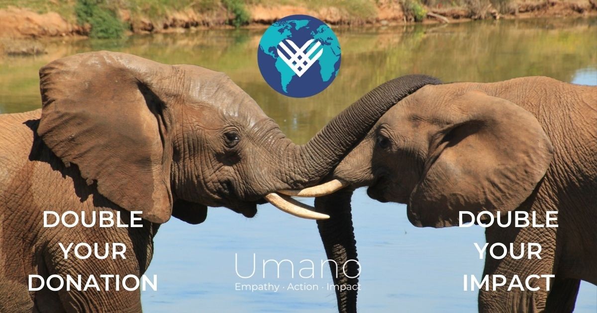 GIVING TUESDAY 2021: DOUBLE YOUR IMPACT