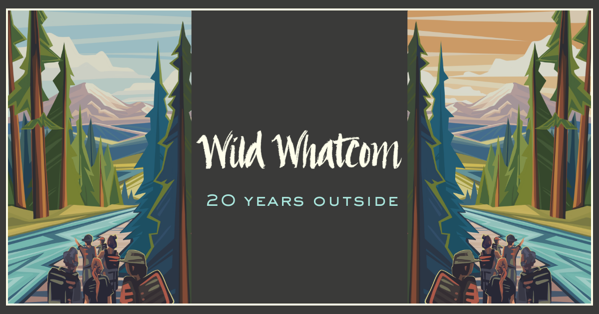 Campaign cover image for 20th Anniversary Celebration