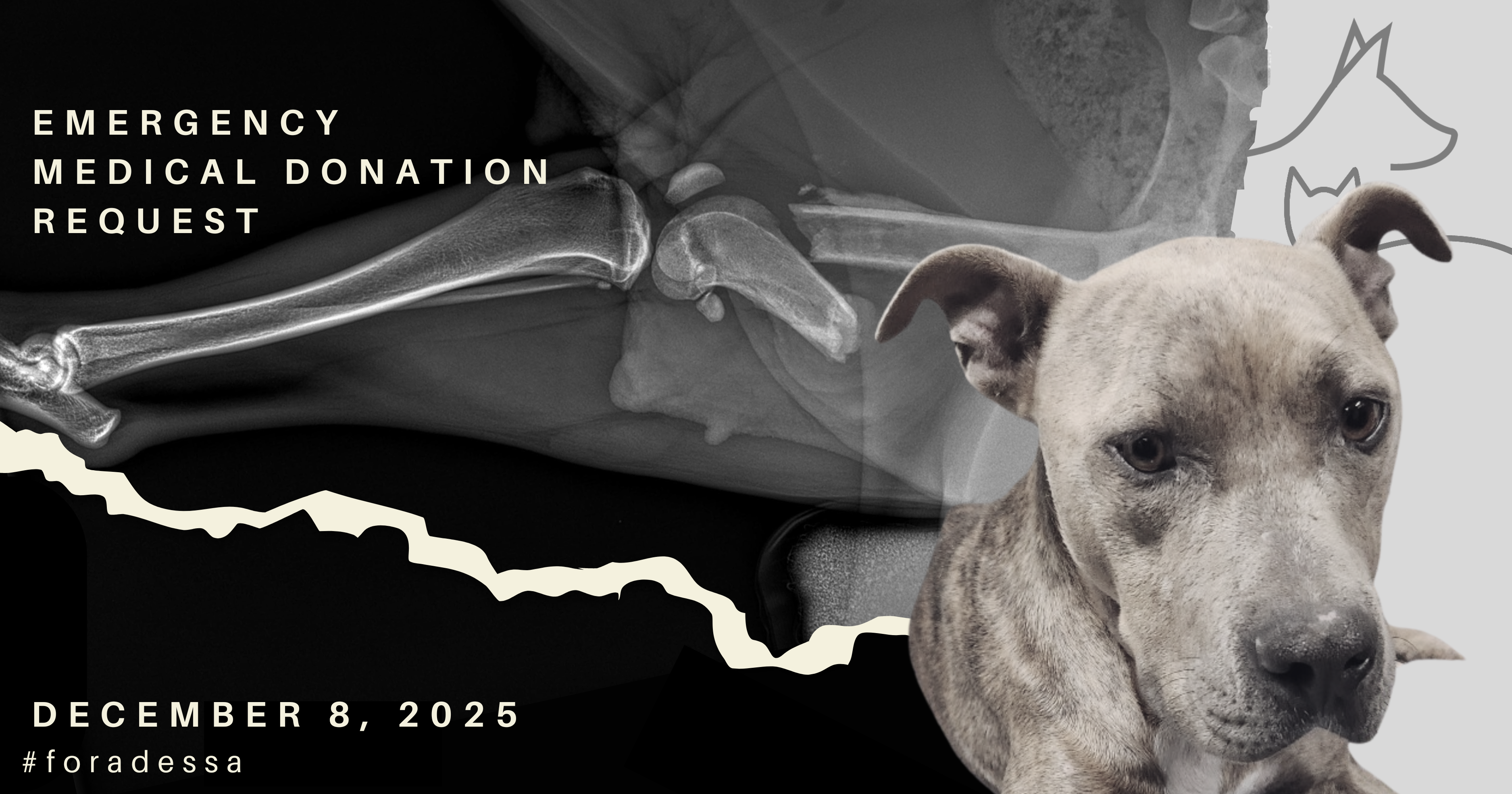 Campaign cover image for For Adessa :: Emergency Medical Donation Request