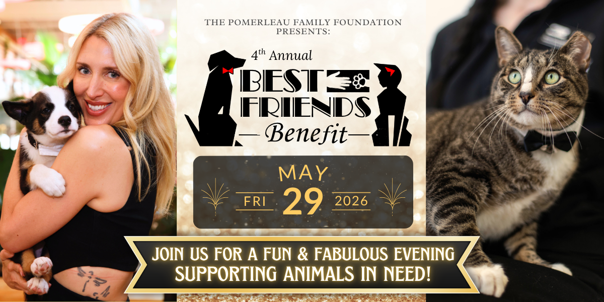 Campaign cover image for Best Friends Benefit