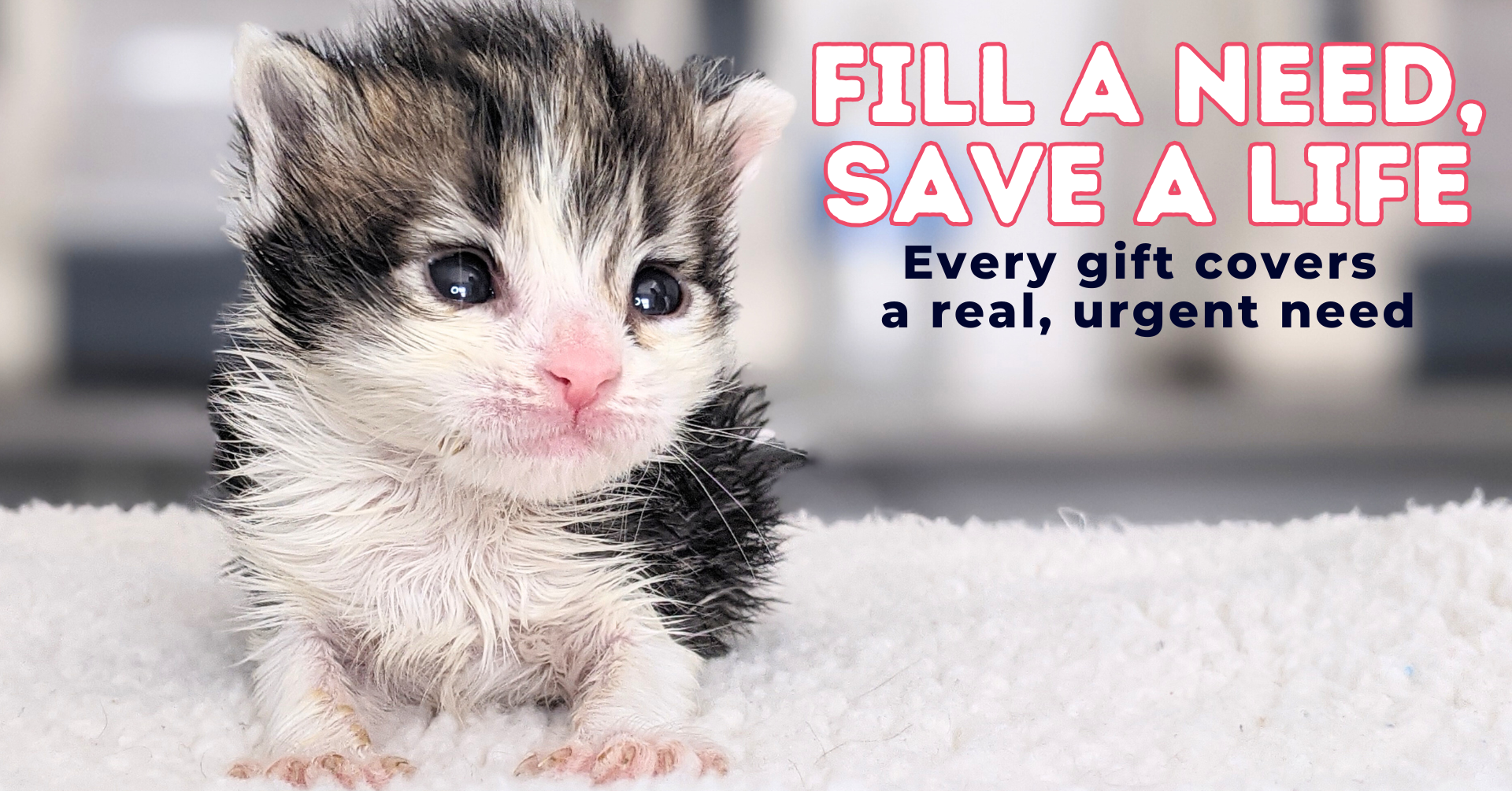 Campaign cover image for Fill a Need. Save a Life.