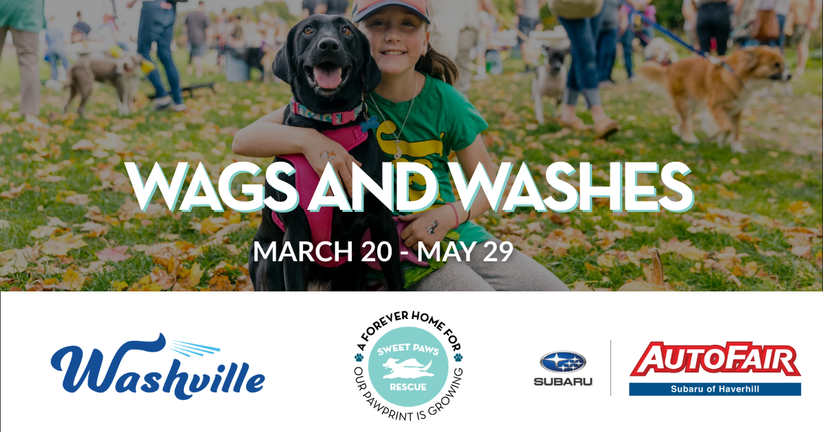 Campaign cover for Wags and Washes