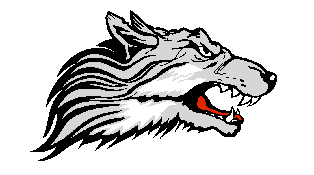 Campaign cover image for Support 13U Chandler Wolves Football