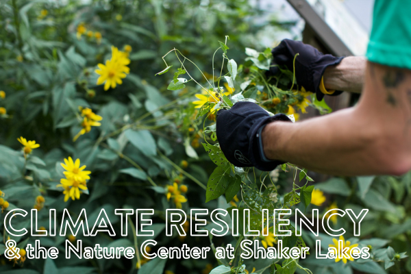 Campaign cover image for Bringing Nature Home: Climate Resiliency and the Nature Center at Shaker Lakes