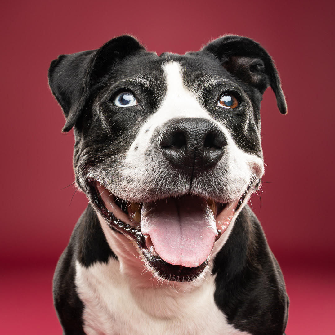 Campaign cover image for Leave No One Behind Fund