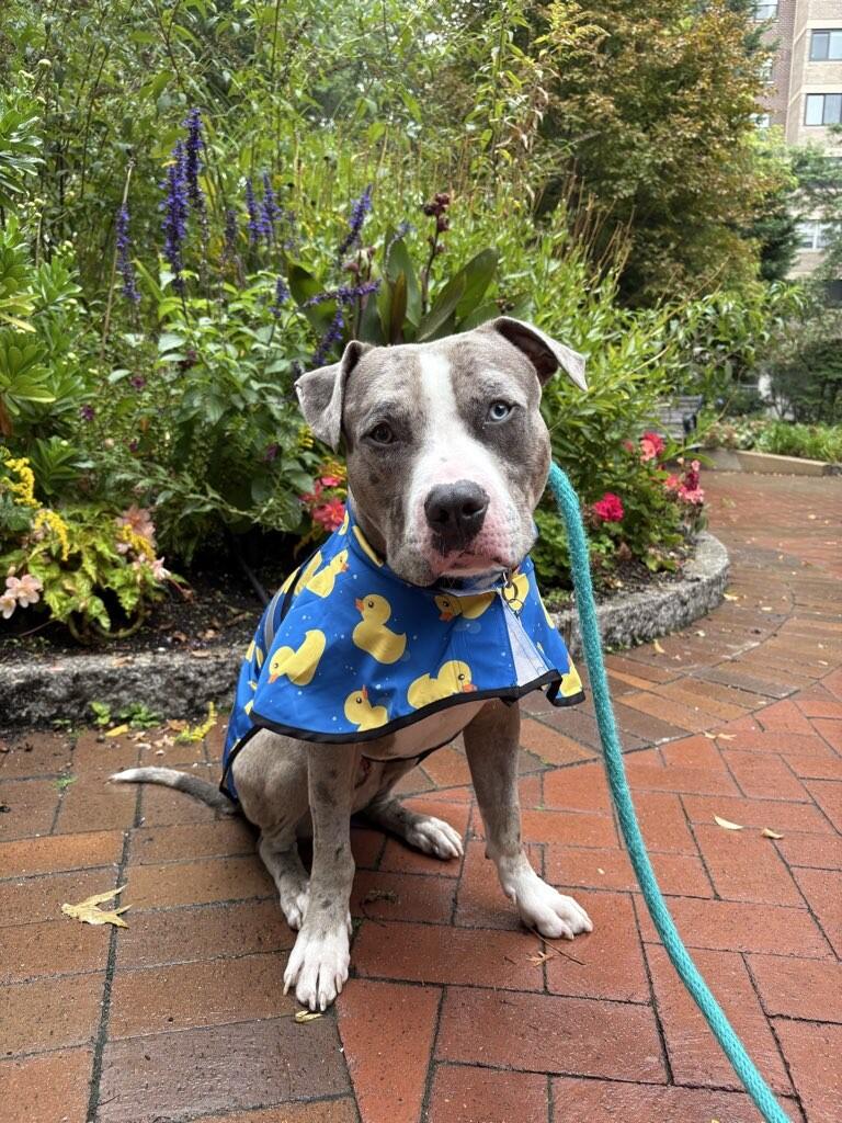 Campaign cover image for It’s $5 Friday!