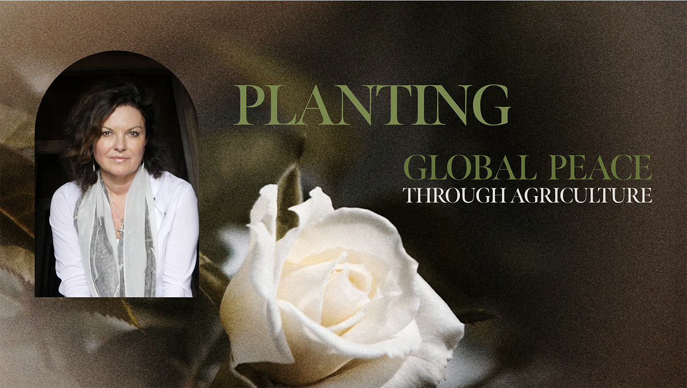 Campaign cover image for Heidi Kühn Global Peace Foundation