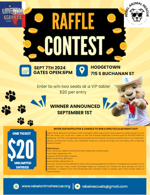 Celebrate America Raffle