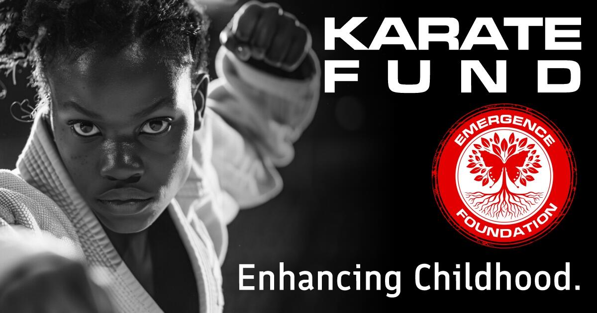 Campaign cover image for DOJODAI KARATE FUND