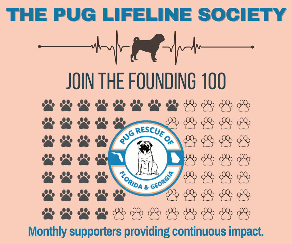 Campaign cover for The Pug Lifeline Society