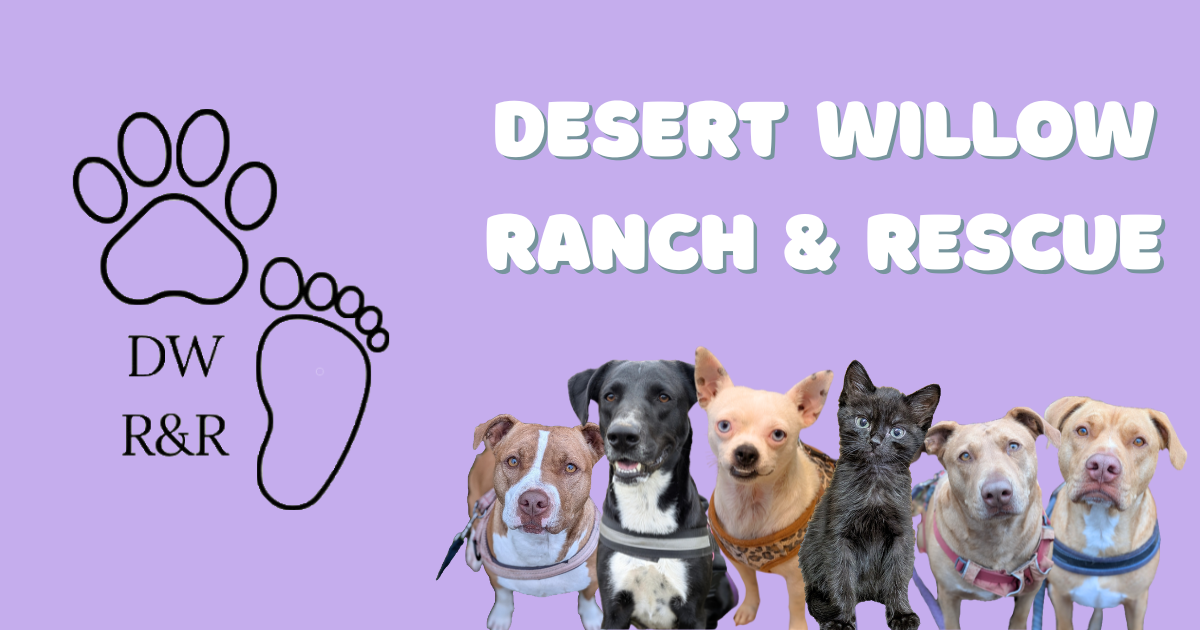 Campaign cover image for Desert Willow's First Online Auction