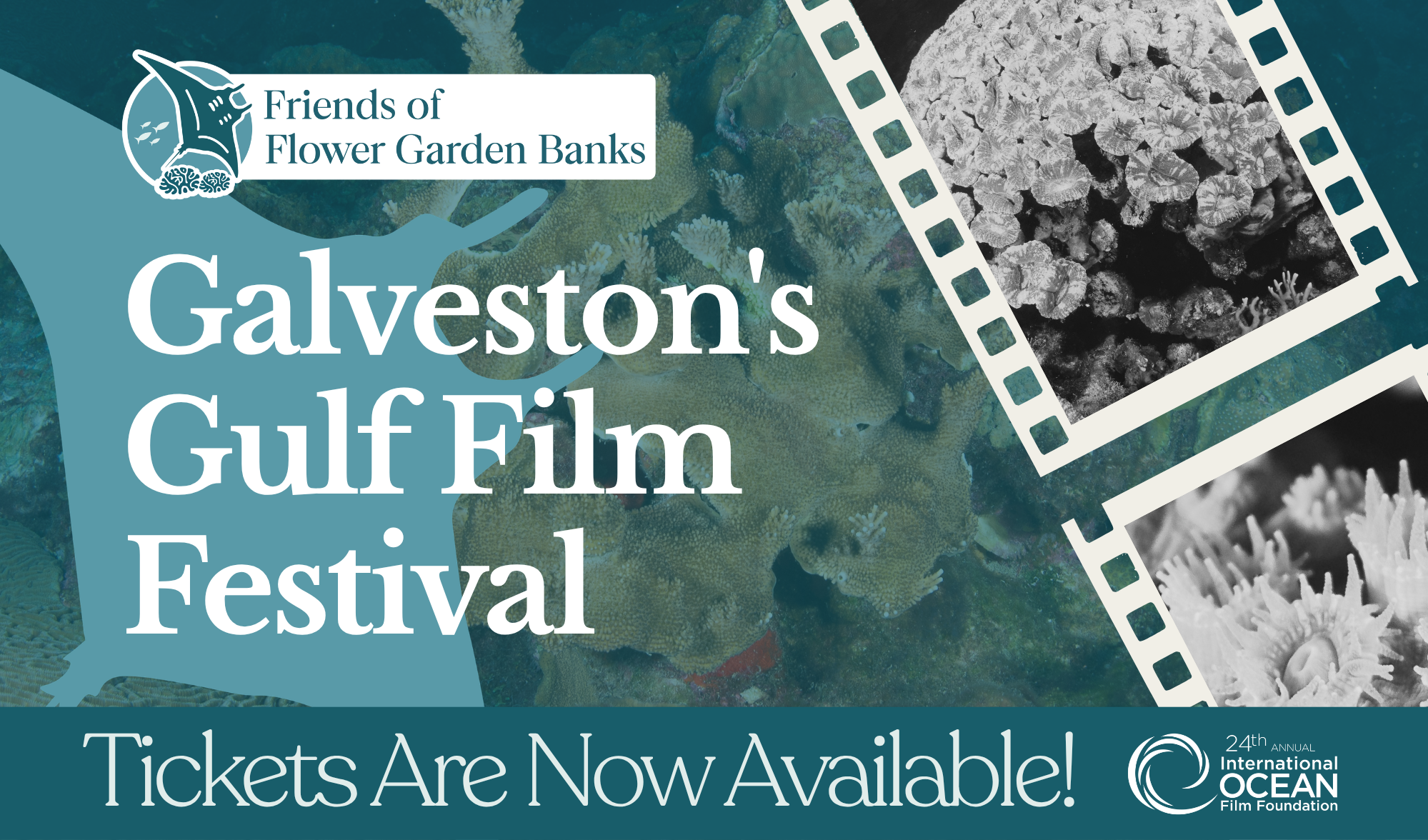 Campaign cover image for Galveston's Gulf Film Festival