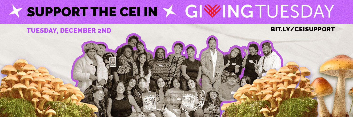 Campaign cover image for Give to the Cultural Equity Incubator!
