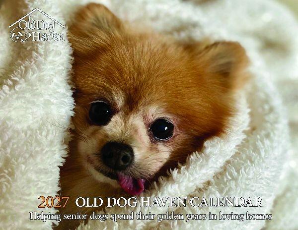 Campaign cover for 2026 Old Dog Haven Calendar Release Party