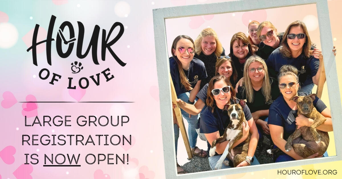 Campaign cover image for Hour of Love 2026