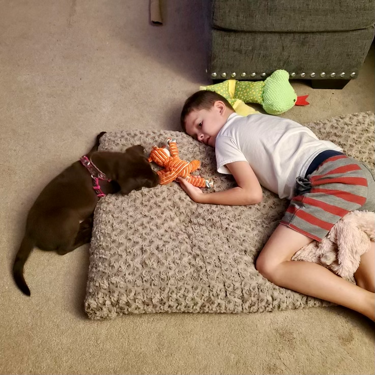 Campaign cover image for Carson's Service Dog