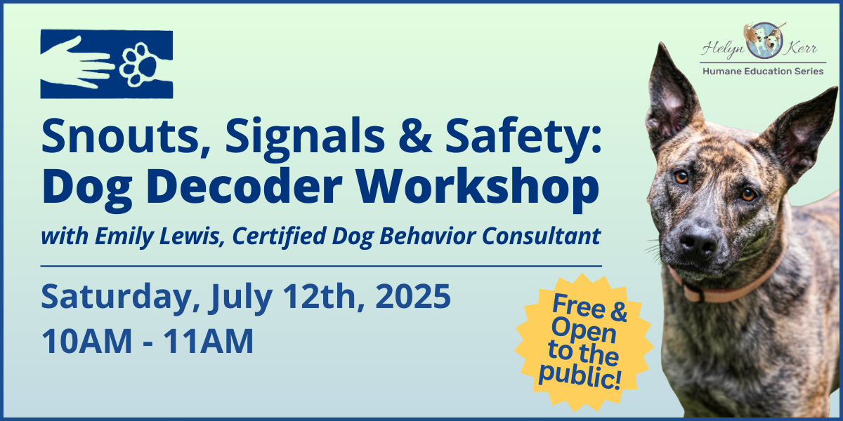 Campaign cover image for Snouts, Signals & Safety: Dog Decoder Workshop