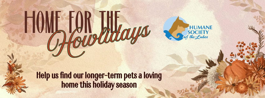 Campaign cover image for Adoption Fee Sponsorship