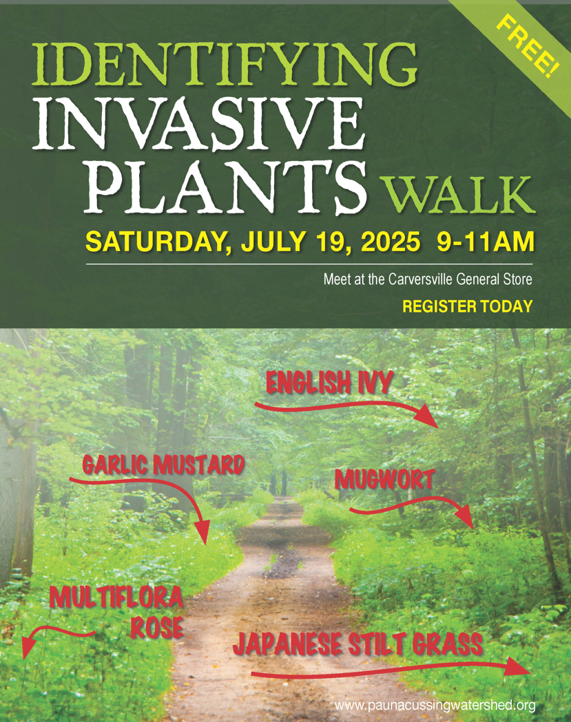 Campaign cover image for IDENTIFYING  INVASIVE  PLANTS WALK