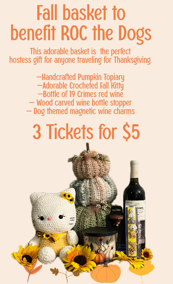 Campaign cover image for Fall Basket