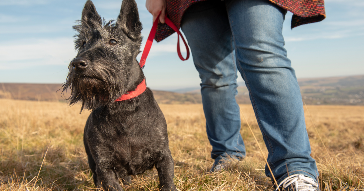 Campaign cover for BECOME AN HTF LEGACY