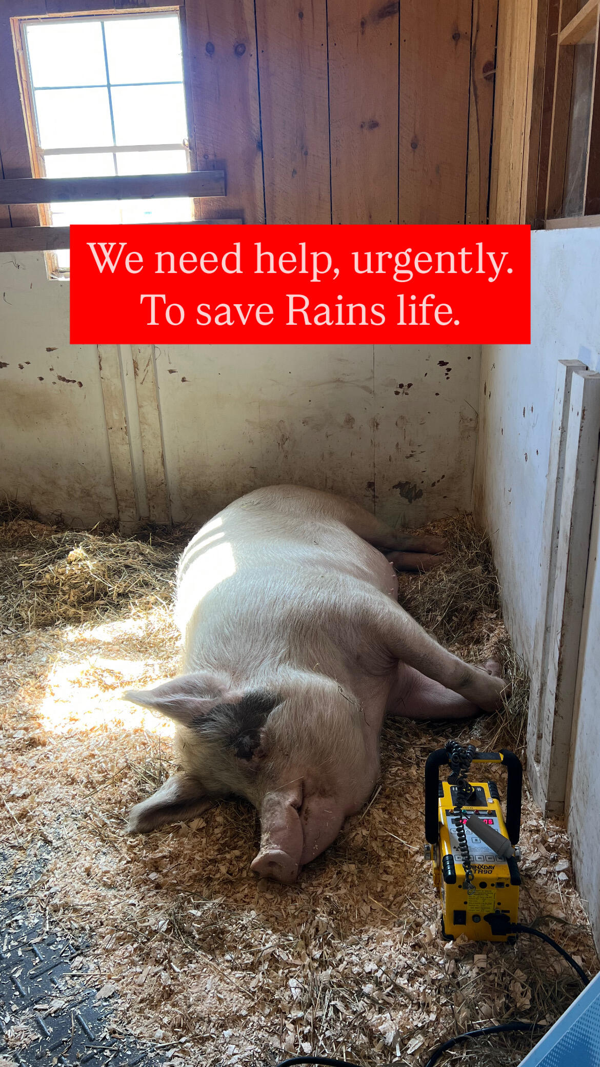 Campaign cover image for RAINS URGENT MEDICAL BILLS