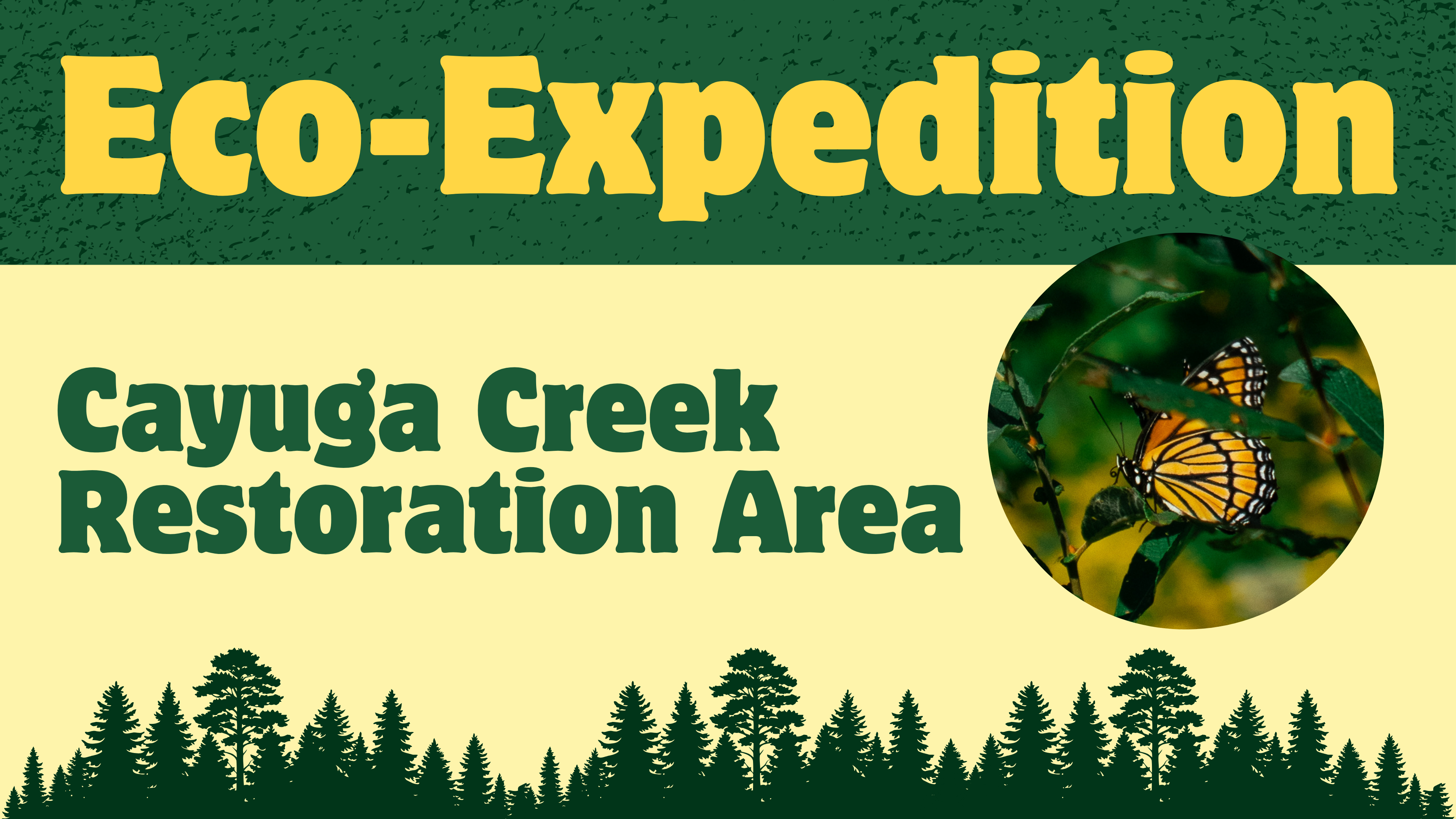 Campaign cover image for Eco-Expedition at Cayuga Restoration Area