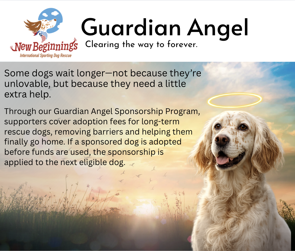 Campaign cover image for Guardian Angel