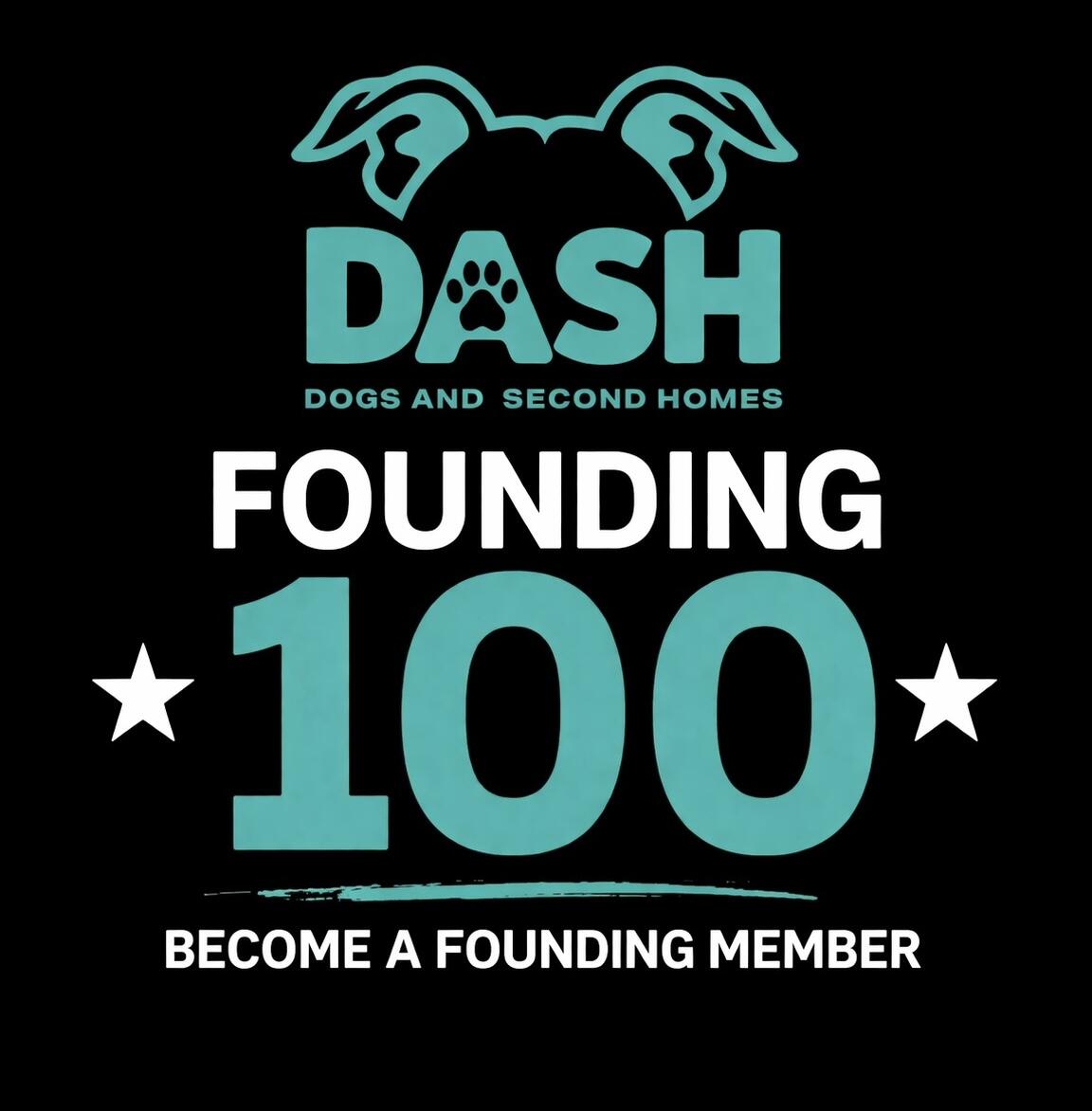 Campaign cover image for THE DASH FOUNDING 100