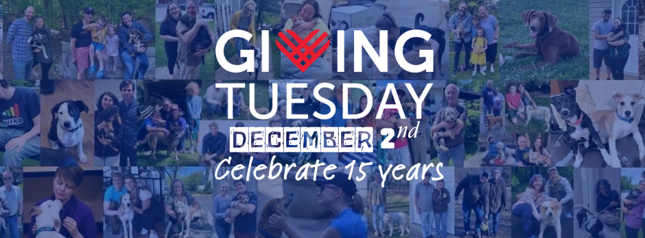 Campaign cover image for Celebrate 15 Years this Giving Tuesday!