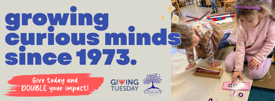 Campaign cover image for Giving Tuesday 2025