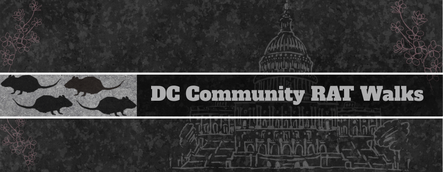 Campaign cover image for DC Rat Walks