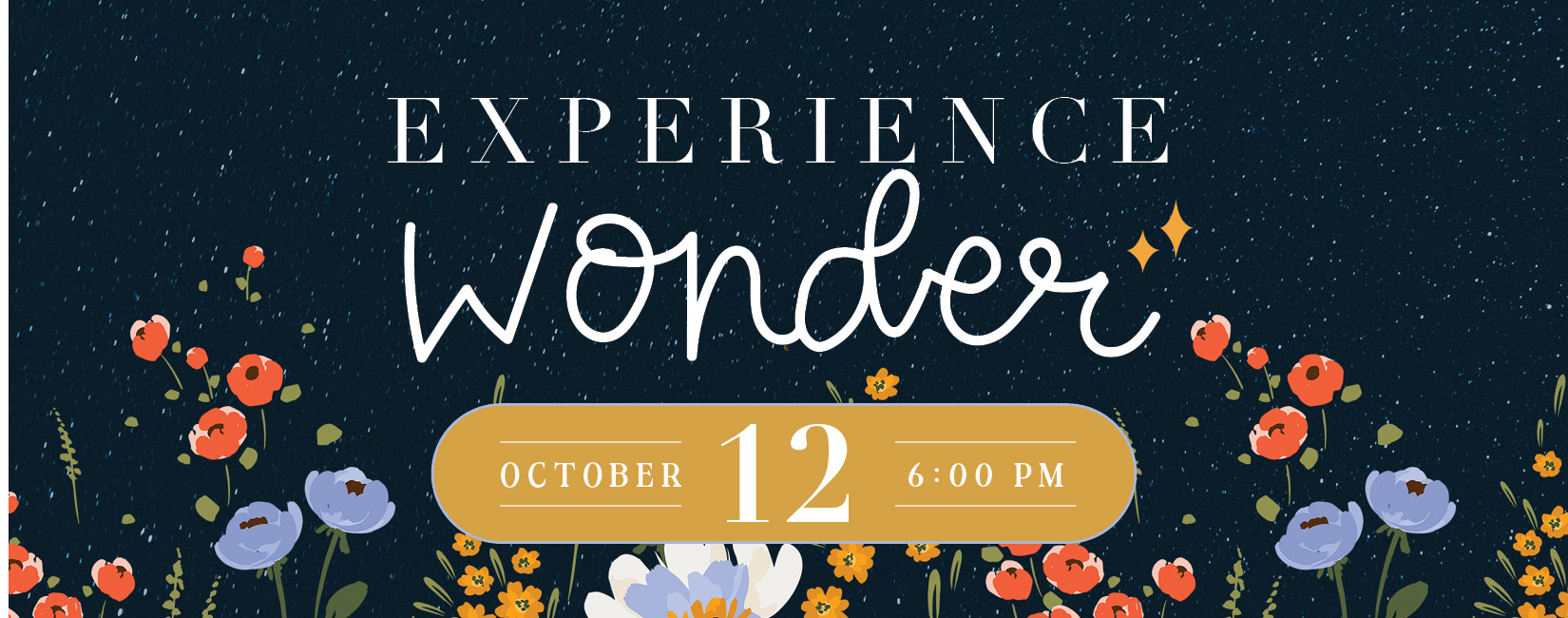Campaign cover image for Experience Wonder