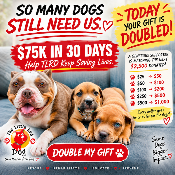 Campaign cover image for $75K in 30 Days: Help Us Write TLRD's Next Chapter