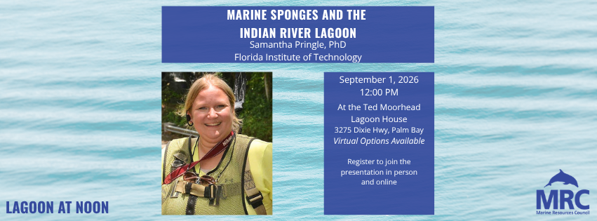 Campaign cover image for September 2026 Lagoon at Noon